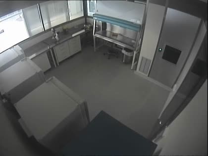 2025-05-01