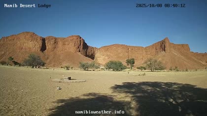 2025-10-08