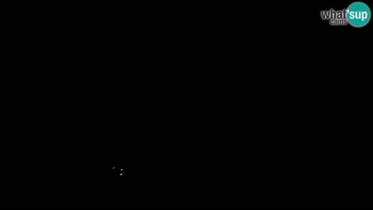 2025-06-06
