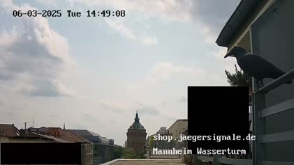 2025-06-04