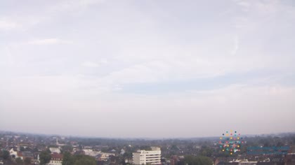 2026-07-31