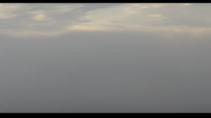 2025-07-26