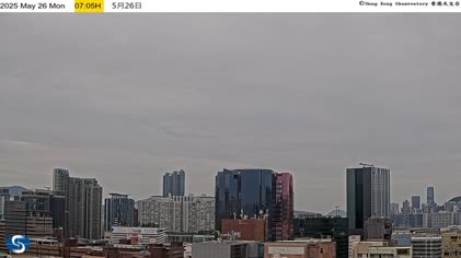 2025-05-26