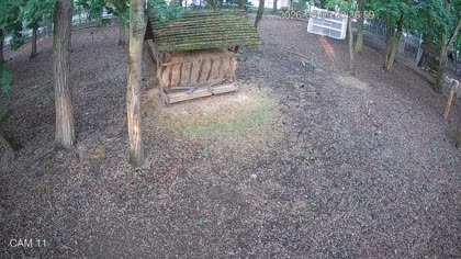 2026-06-09