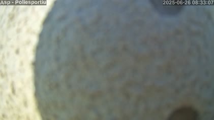 2025-06-26
