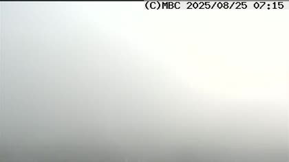 2025-08-25