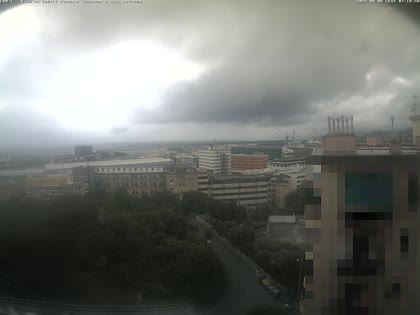 2025-06-08
