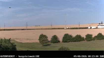 2026-08-09
