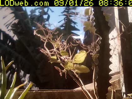 2026-09-01
