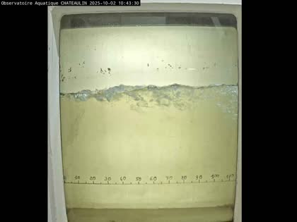 2025-10-02