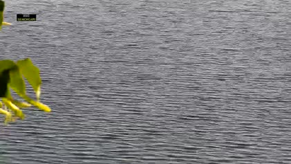 2025-06-05