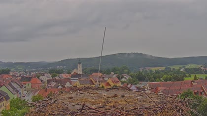 2025-08-04