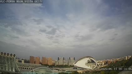 2025-06-11