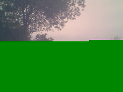 2025-07-20