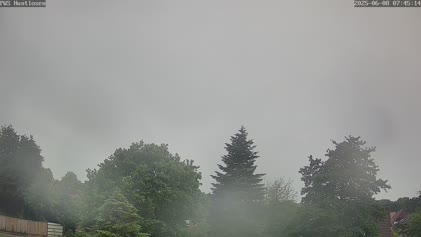 2025-06-08