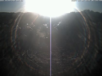 2025-09-06