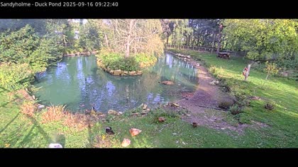 2025-09-16