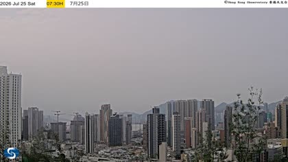2026-07-25