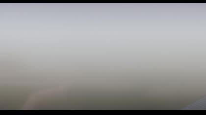 2025-08-08