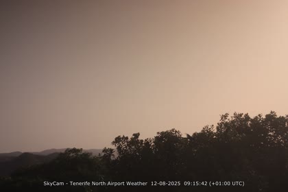 2025-08-12