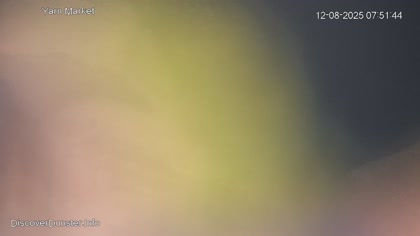 2025-08-12