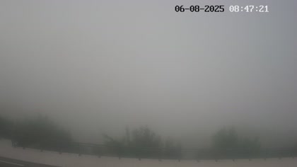 2025-08-06