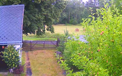 2025-07-12