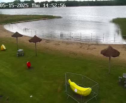 2025-05-15