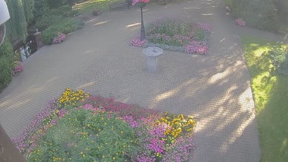 2026-08-08