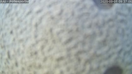 2025-09-01