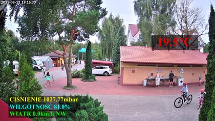 2025-08-12