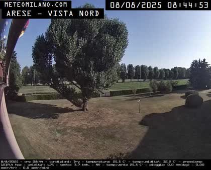 2025-08-08