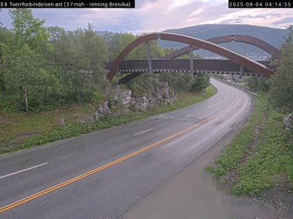 2025-08-04