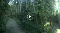 Bali - Elephant Safari Park