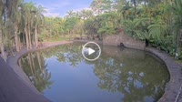 Bali - Elephant Safari Park