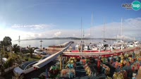 Biograd na Moru - Coast King Petar Krešimir IV