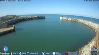 Marina di Pisa - Port