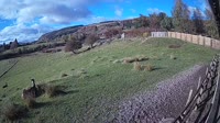 Aberfeldy - Red Deer Centre