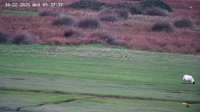 Bideford - The Royal North Devon Golf Club