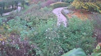 Alnwick - Garden