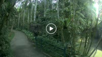 Bali - Elephant Safari Park
