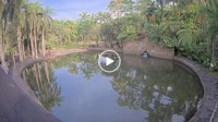 Bali - Elephant Safari Park