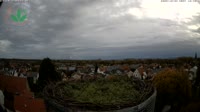 Otterstadt - Bociany
