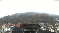 Pegnitz - Bociany