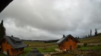 Oberharz am Brocken - Tanne