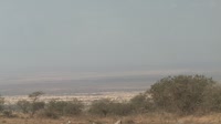 Mtito Andei - Campi ya Kanzi