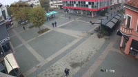 Miniaturka