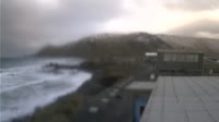 Macquarie Island
