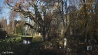Zagnańsk - Dąb Bartek