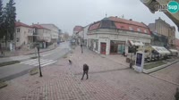 Miniaturka